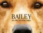 Bailey-Ein-Freund-fuers-Leben-News.webp