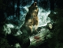 Bear-News.webp