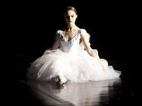Black-Swan-01.webp