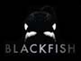 Blackfish-News.jpg