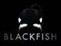 Blackfish-News.webp