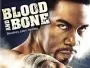 Blood-and-Bone-News.webp