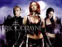 Bloodrayne-News.webp