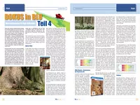 Blulife-Magazin-01-2011-Newsbild-008.webp