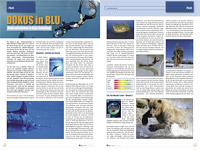 Blulife-Magazin-02-2011-Newsbild-05.jpg