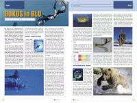 Blulife-Magazin-02-2011-Newsbild-05.webp