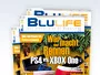 Blulife-Magazin-04-2013-News.webp