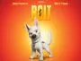 Bolt-News.webp