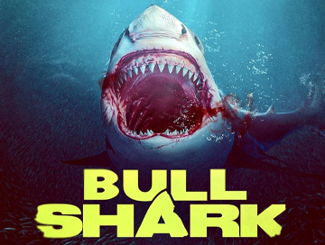 Bull_Shark_News.jpg