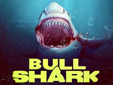 Bull_Shark_News.webp