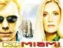 CSI-Miami.webp CSI-Miami.webp