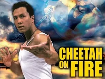 Cheetah_on_Fire_News.webp