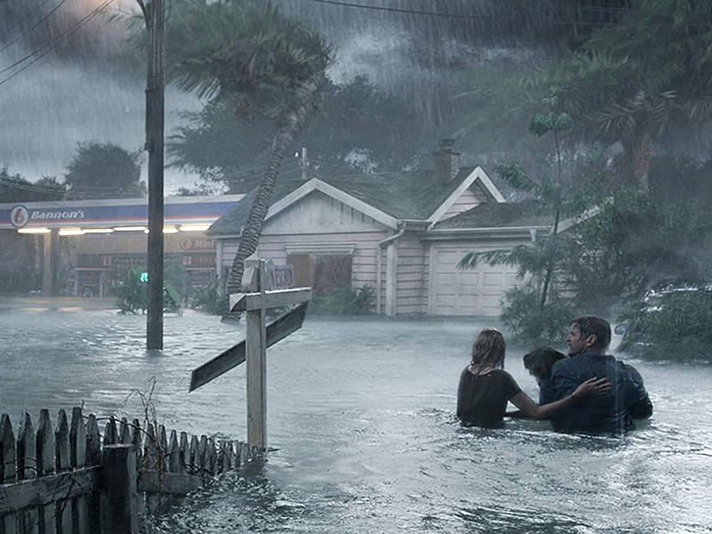 Crawl-2019-Newsbild-01.webp Crawl-2019-Newsbild-01.webp