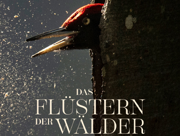 Das_Fluestern_der_Waelder_News.jpg