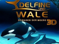 Delfine-Wale-3D-News-01.jpg