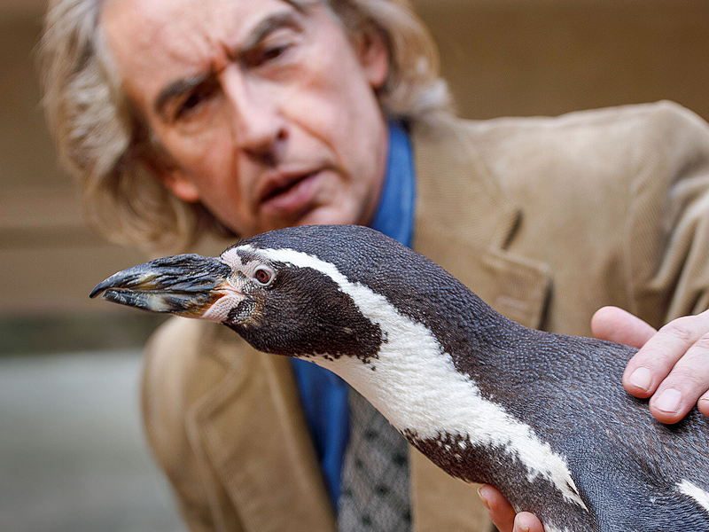 Der_Pinguin_meines_Lebens_02.jpg