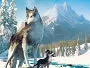 Die-Abenteuer-von-Wolfsblut-News.webp