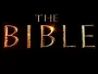 Die-Bibel-News.webp