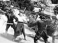 Die-Schwarze-Tulpe-News-03.jpg