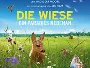 Die-Wiese-News.webp