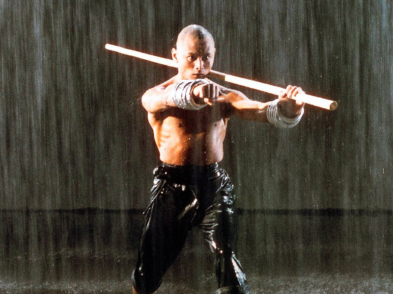 Die_36_Kammern_der_Shaolin_01.jpg