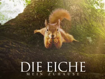 Die_Eiche_Mein_Zuhause_News.webp