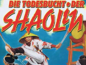 Die_Todesbucht_der_Shaolin_News.webp