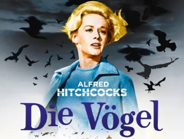 Die_Voegel_News.webp Die_Voegel_News.webp