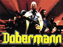 Doberman-News.jpg