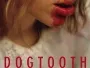 Dogtooth-News.webp