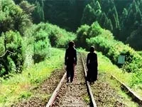 Dolls-2002-News-01.webp