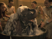 Dumbo-2019-05.jpg Dumbo-2019-05.jpg
