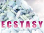 Ecstasy-Newslogo.jpg
