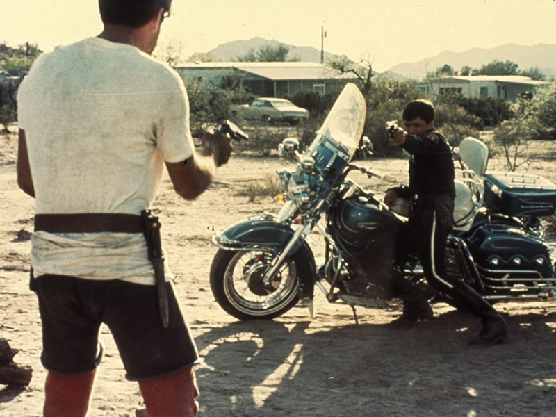 Electra_Glide_in_Blue_01.jpg
