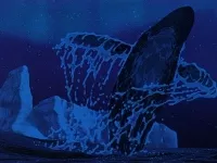 Fantasia-News-02.webp