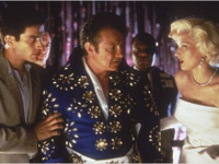 Finding-Graceland-News-02.webp