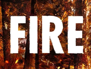 Fire_2020_News.webp