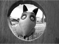 Frankenweenie-News-01.jpg