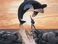 Free-Willy-1993-News-01.jpg Free-Willy-1993-News-01.jpg