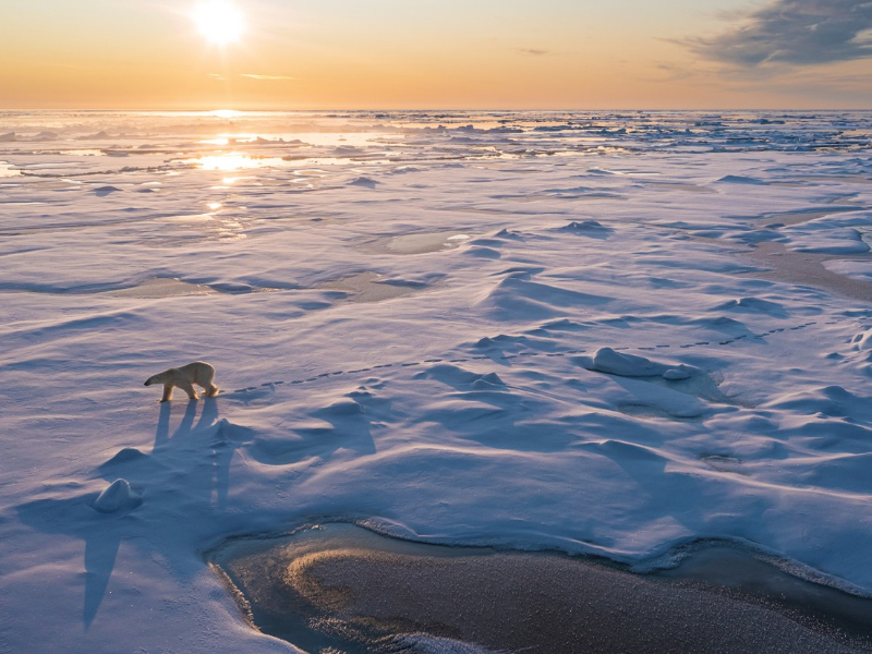 Frozen_Planet_Eisige_Welten_II_01.jpg