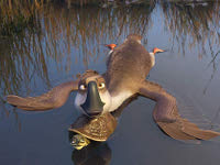 Gans-im-Glueck-News-01.jpg Gans-im-Glueck-News-01.jpg