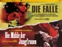 Giallo-Double-Feature-News.webp