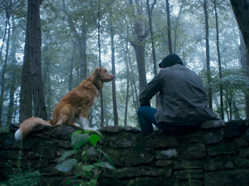Good_Boy_Trust_his_Instincts_01.jpg