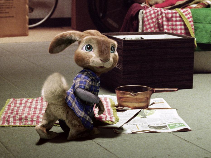 HOP_Osterhase_oder_Superstar_01.jpg
