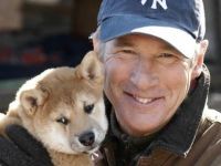 Hachiko-News-01.jpg