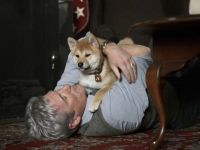 Hachiko-News-02.jpg