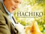 Hachiko-News.webp