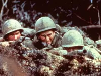 Hamburger-Hill-News-01.webp
