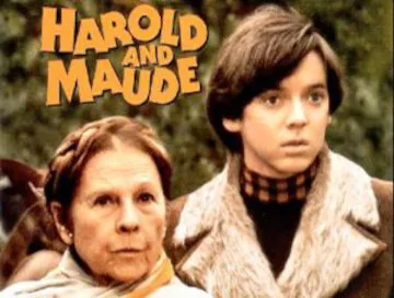 Harold-und-Maude-Newslogo.webp