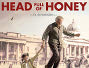 Head-Full-of-Honey-News.webp Head-Full-of-Honey-News.webp